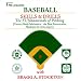Baseball Skills and Drills 6Video Series DVD