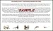 Colorado River Fishing Guidebook - Colorado