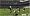 FIFA Soccer 09