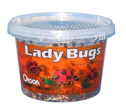 Orcon LB-C1500 Live Ladybugs, Approximately 1,500 Count