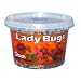 Orcon LB-C1500 Live Ladybugs, Approximately 1,500 Count