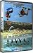 Tronolone New World Order Kiteboarding Dvd