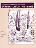 Histological and Histopathological Evaluation of the Testis