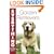 Golden Retrievers (Everything You Need to Know About...)