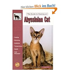 Guide to Owning an Abyssinian Cat