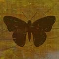 Qwerties "Butterfly" - 10 x 10"