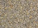 Mocha Java Green Coffee Beans - 5lbs