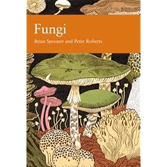 Fungi (New Naturalist)
