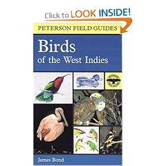 A Field Guide to the Birds of the West Indies (Peterson Field Guide Series)
