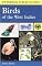 A Field Guide to the Birds of the West Indies (Peterson Field Guide Series)