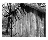 Some rain gets through Architecture Photographic Poster Print by Curtis J. Neeley, 24x20