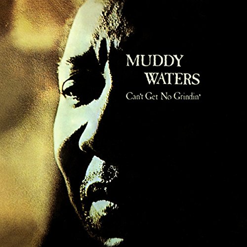 Muddy Waters - Can