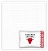 Chicago Bulls Queen Sheet Set