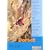 Dorset: Rockfax Climbing Guide