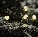 Arktis Profi LED Lichterkette mit 200 LEDs - warmweiß (Das Original - Der Topseller mit 200 Micro-LEDs für Drinnen und Draußen!)