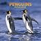 For penguin fans