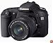 Canon EOS 30D 8.2MP Digital SLR Camera Kit with EF-S 18-55mm f/3.5-5.6 Lens