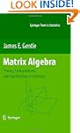 Matrix Algebra: Theory, Computations,...