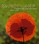 Sanctuary: Gardening for the Soul