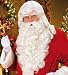 Santa Wig And Beard Set, Christmas Party Outfit Costume
