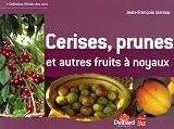 Cerises, prunes et autres fruits � noyaux