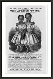 Historic Print (S): The African twins...whom nature has linked by an indissoluble band...on view...Egyption