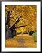 Autumn Maple Trees, Missoula, Montana, USA Framed Art Poster Print by Chuck Haney, 31...
