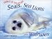 Animals of the Ocean - Seals, Sealions and Walruses