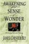 Awakening Your Sense of Wonder: Discovering God Through the Ordinary