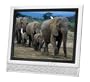 Sharp LC-13KWU Aquos 13-Inch LCD TV with Under-Cabinet Mounting