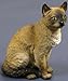 CAT BURMESE sits Figurine Resin 6333