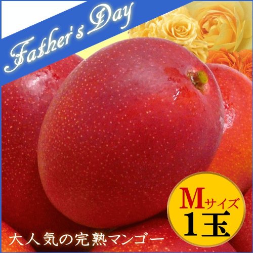 【5大特典付き】 父の日 ギフト 宮崎県産　完熟マンゴー　1玉（中玉）入