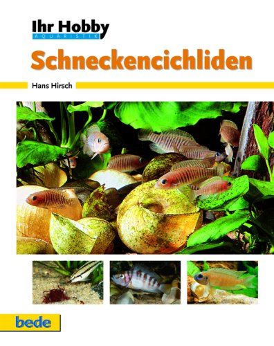 Hirsch