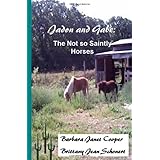 Jadon and Gabe:: The Not so Saintly Horses
