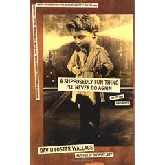 A Supposedly Fun Thing I'll Never Do Again: Essays and Arguments