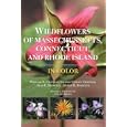 Wildflowers of Massachusetts, Connecticut, and Rhode Island in Color (Natural History) by William K. Chapman and Valerie A. Chapman