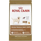 ROYAL CANIN BREED HEALTH NUTRITION Labrador Retriever Adult dry dog food, 30-Pound