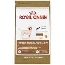 ROYAL CANIN BREED HEALTH NUTRITION Labrador Retriever Adult dry dog food, 30-Pound
