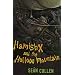 Hamish X and the Hollow Mountain