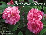 Antique Roses 2000 Calendar