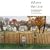 Where We Live: Photographs of America from the Berman Collection (Getty Trust Publications: J. Paul Getty Museum)