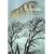 Yosemite: The Promise of Wildness