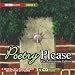 Poetry Please! (Radio Collection)