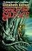 Song in the Silence (Tor Fantasy)
