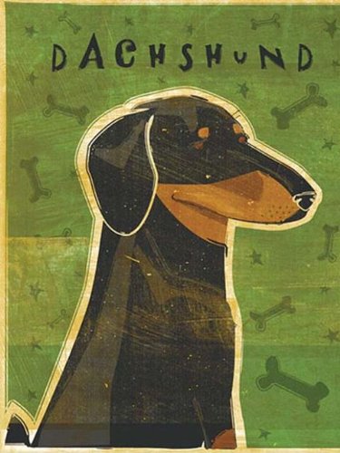 Wallpaper 4Walls Animals top Dog Dachshund KP1156SA