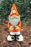 Clemson University Garden Gnome