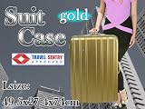 ���y��/NEW�^�C�v/TSA���b�N����/�X�[�c�P�[�X/��^/�l��/�S�[���h