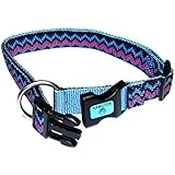 Hamilton 1-Inch Adjustable Dog Collar Fits 18-Inch to 26-Inch with Brushed Hardware Ring, Large, Ocean Blue Weave