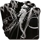 SEAHORSE SEA HORSE GIFTS Set of 4 Leather Coasters
