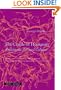 The Cradle of Humanity: Prehistoric Art and Culture